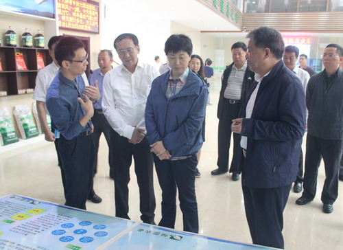 中華全國供銷合作總社領(lǐng)導在安義縣綠能農(nóng)業(yè)發(fā)展公司調(diào)研